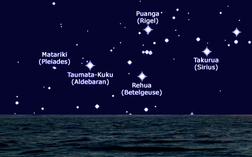 Stars marking the Maori New Year.