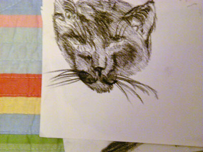 Sketch of Trojan Tiger's cat, Hobbes.